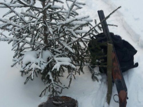 С наступающим!!!!!!