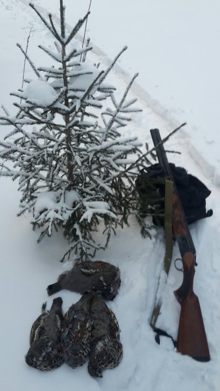С наступающим!!!!!!