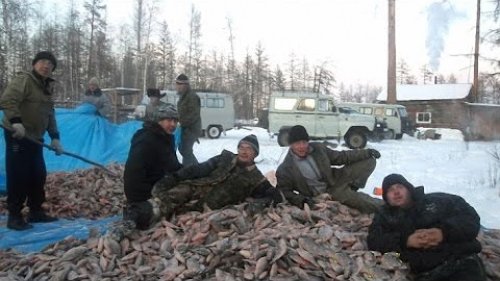 Особый способ ловли рыбы в зимний период-Куйуур. Рыбаки Куйуурщики.