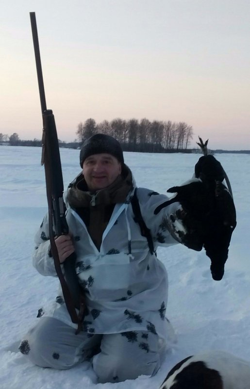 Петушок молодой)))