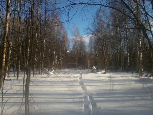 охота в мороз