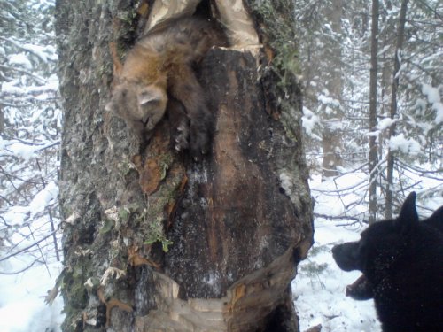 Дружбан расстарался, а я помог.