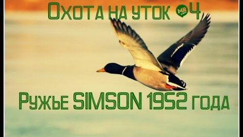 Охота на уток #4 Ружье SIMSON 1952 года
