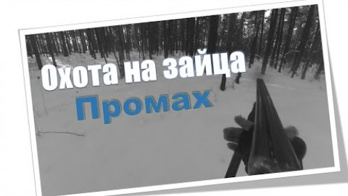 Охота на зайца. Промах