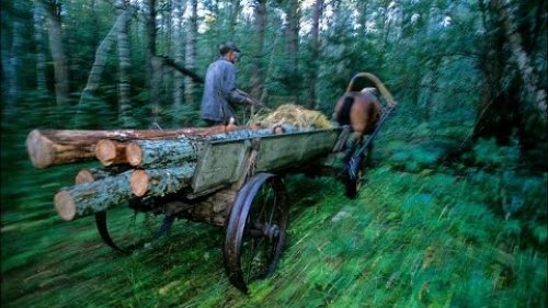 Путешествие во времени