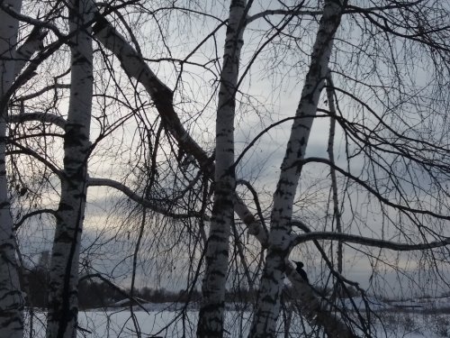 Санитар