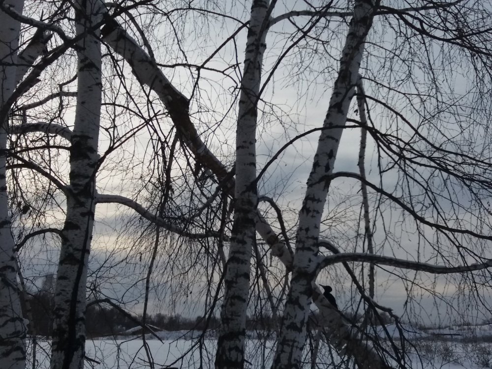 Санитар