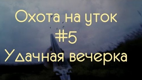 охота на уток #5 Вечерка удалась!!!