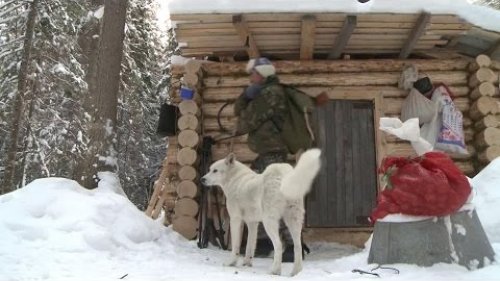Таёжная жизнь промысловика. Таёжная пастораль.
