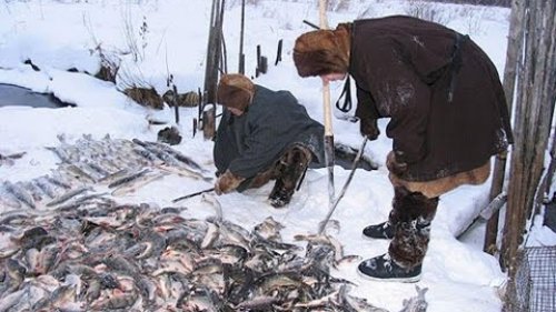 Таёжная подлёдная  рыбалка. Северные хитрости.