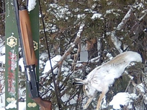 вот и я потропил:)
