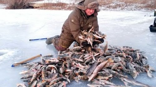 Нетронутые места таёжных рек. Сказочная рыбалка.
