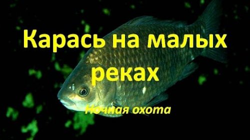 Подводная охота 2016  Карась на малых реках