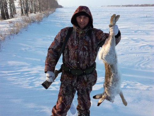 Воскресный заяц