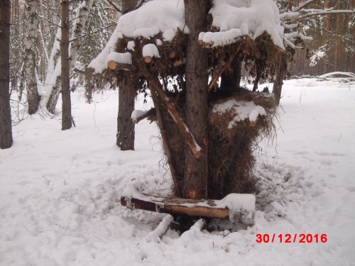 кормушка и солонец