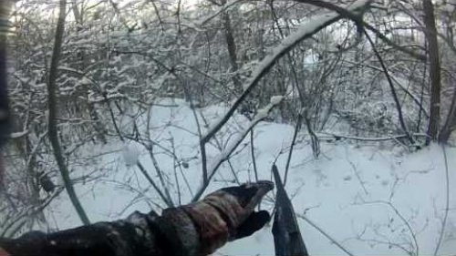 Охота на кабана с ЗСЛ декабрь 2016