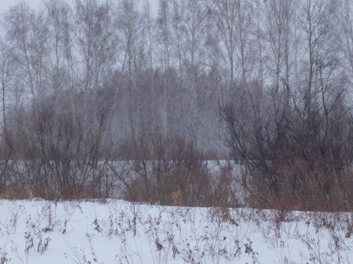 Её плохо видно но она есть)