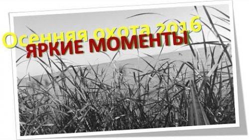 Осенняя охота 2016.  Яркие моменты