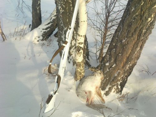 Добыл таки!!!