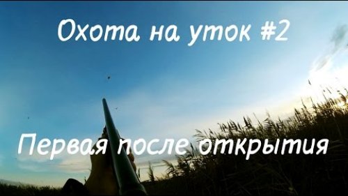 Охота на уток #2 "Первая после открытия"