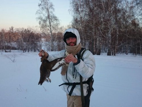 Зайцы, птицы и народные приметы