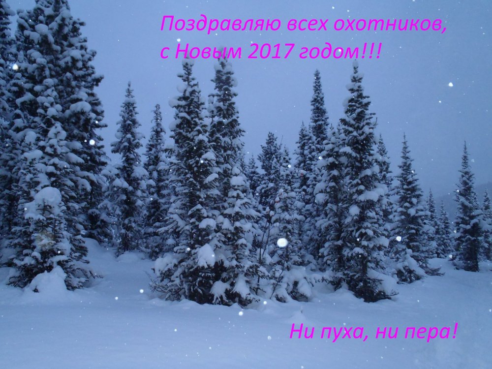 С новым 2017 годом!