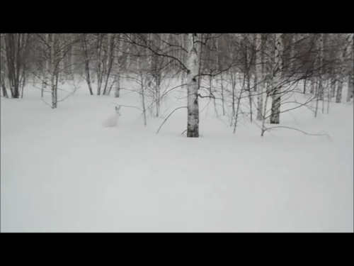 С наступающим!!!