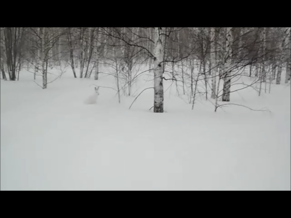С наступающим!!!