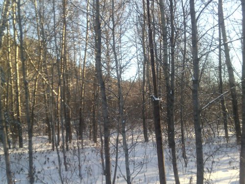 Нежданчик