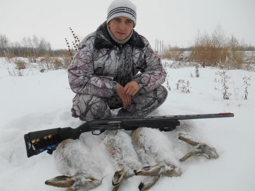 Степашки