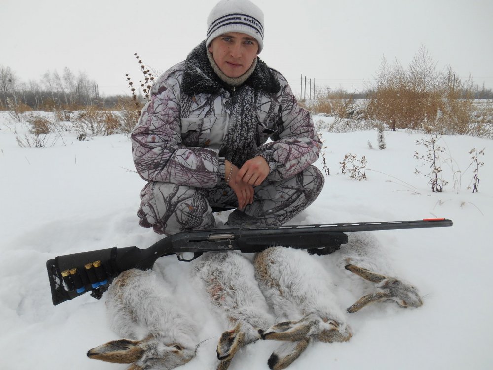 Степашки