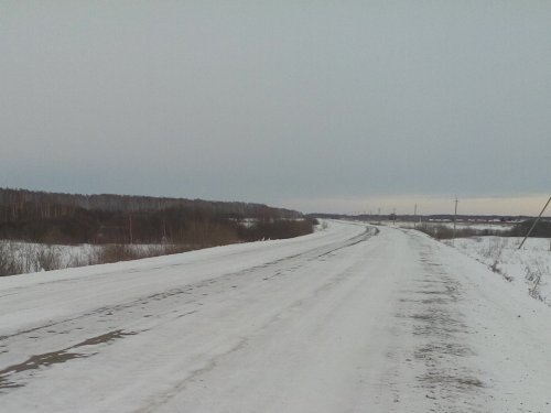 Любопытная птица