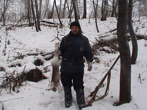Звонарев