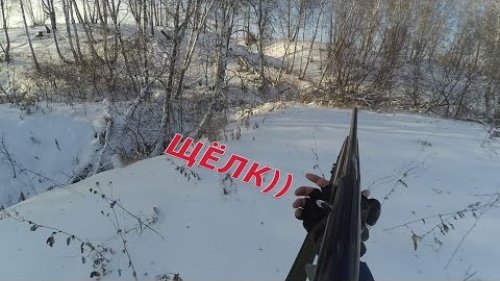 Охота на зайца.Осечка