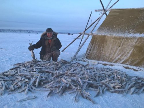 Картинка с путины. Жиганск, заполярье.