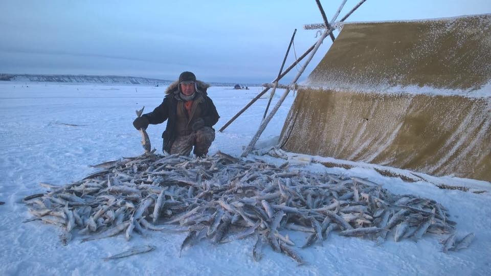 Картинка с путины. Жиганск, заполярье.