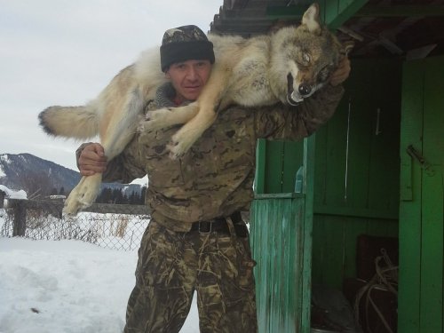 Серый