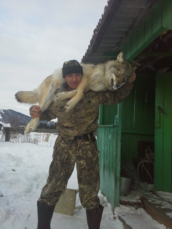 Серый