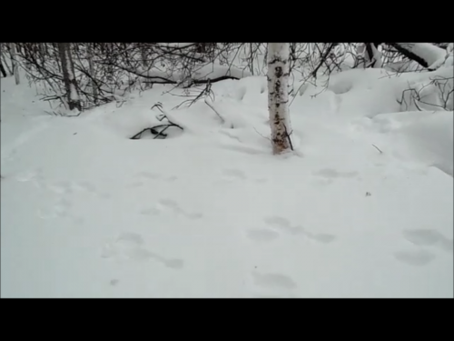 Тройка!!!