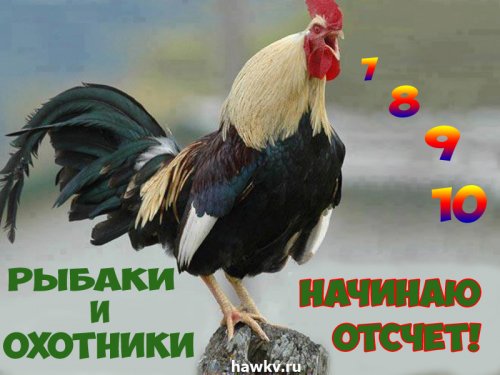 Ключ на старт...