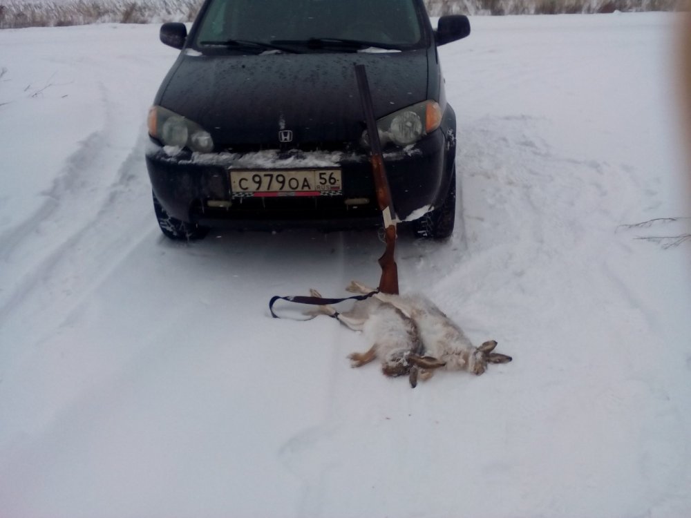 С погодой повезло!