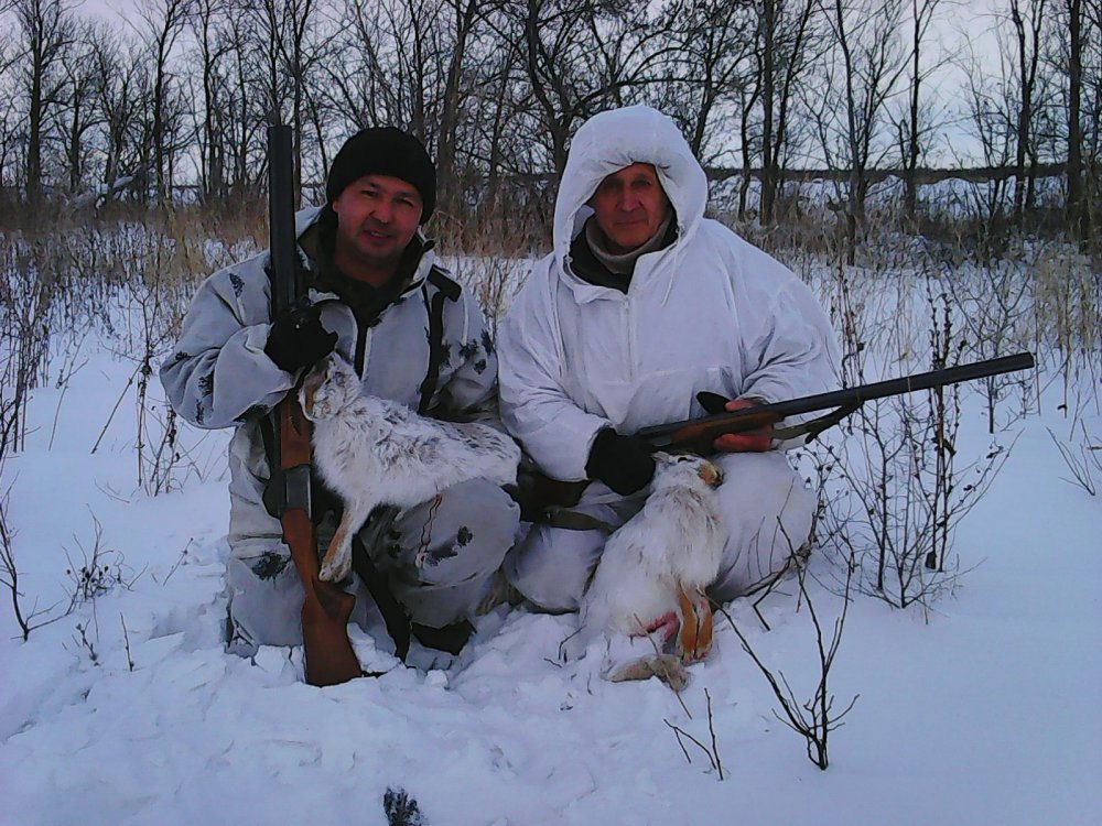 Мороз,ветер, зайцы...