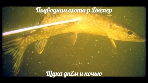 Подводная охота "Щука на Днепре"