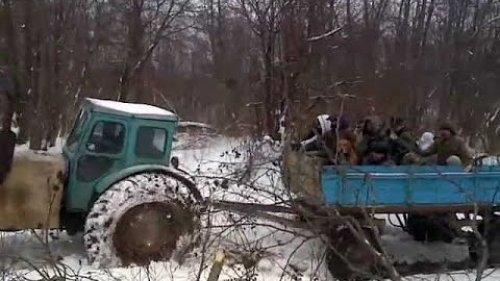 Сибирь! Охота на медведя с деревенскими мужиками!