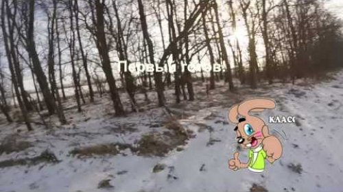Удачные выстрелы по зайцам. Часть первая.
