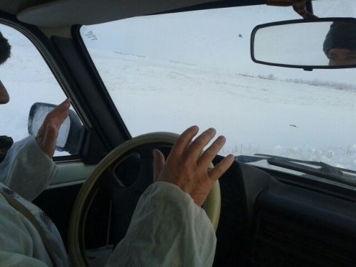 Занесенные ветром...