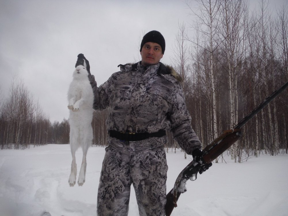 Первый заяц 2017ого