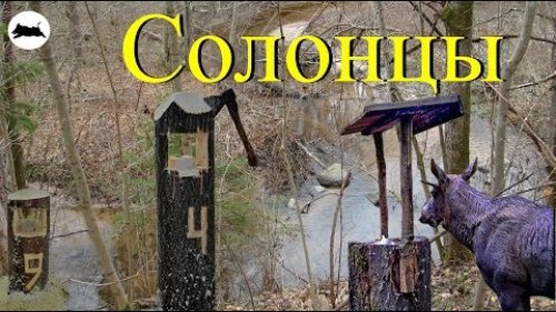 Солонцы