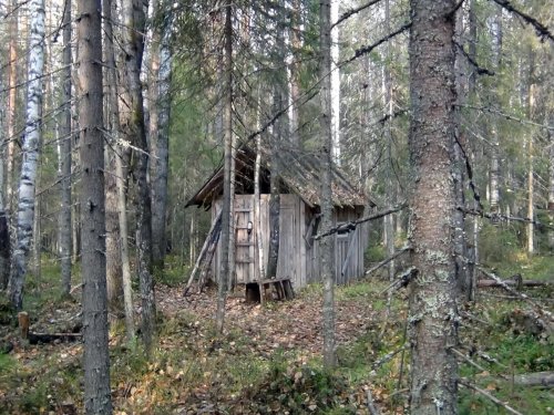 Из сочинения третьеклассника «Как я провёл лето».