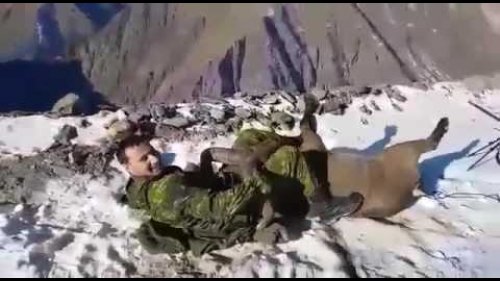 Редчайший случай